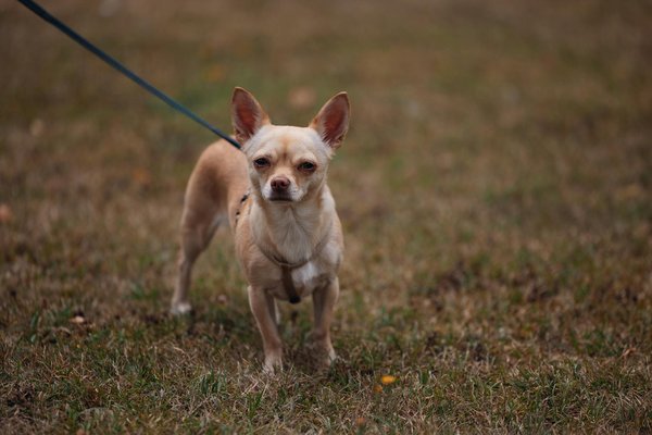Innovative Upcycling-Methoden: Kreative Ideen für die Wiederverwendung von Jeanskleidung